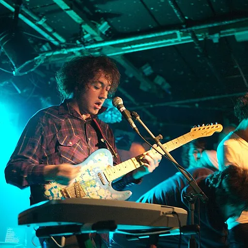 The Wombats