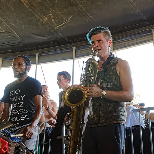 Too Many Zooz