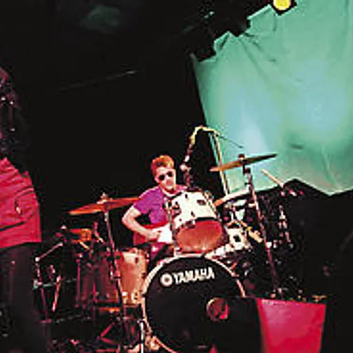 The Ting Tings