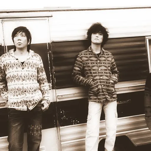 the pillows