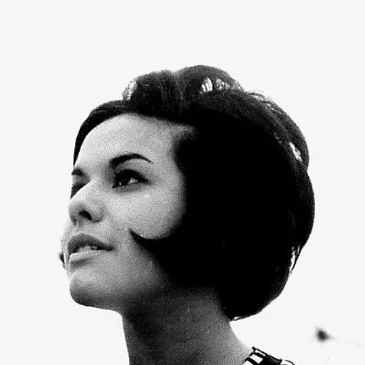 Elis Regina