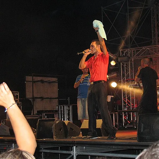 Sud Sound System