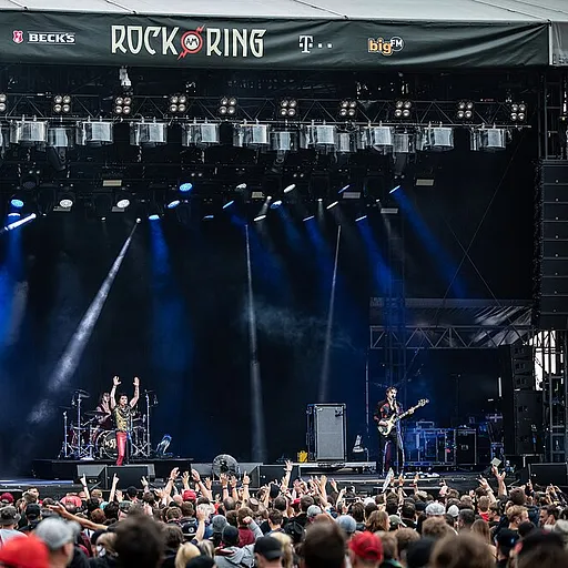 The Struts