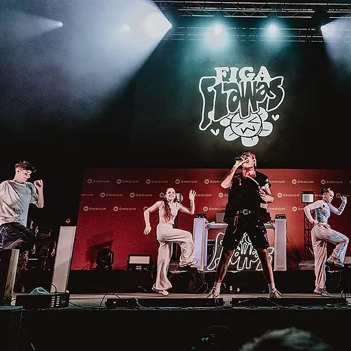 Figa Flawas