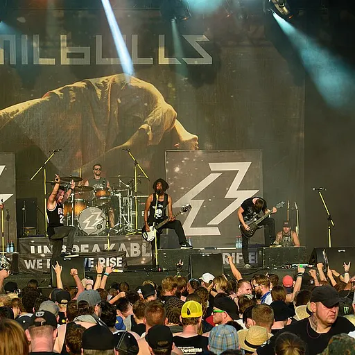 Emil Bulls