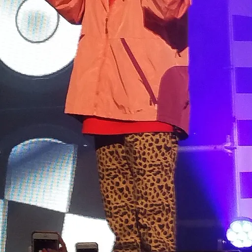 ZICO