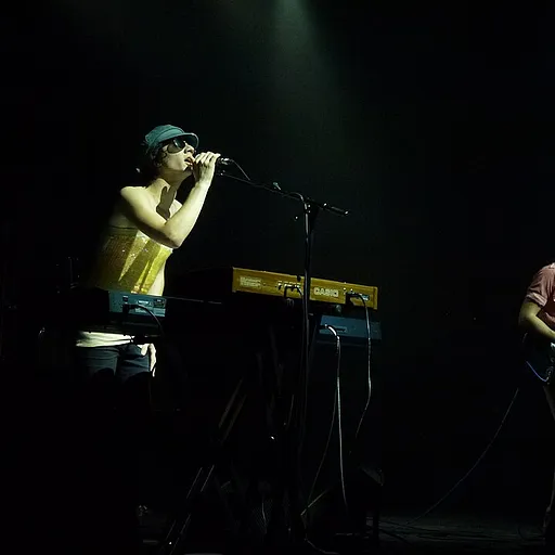 The Lemon Twigs