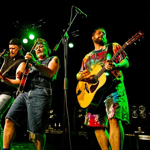 Hayseed Dixie